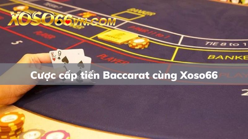 Cược cấp tiến cực chuẩn cùng nhà cái Xoso66