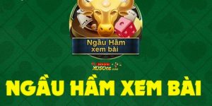 Ngầu hầm xem bài Xoso66: Game giải trí nhận thưởng khủng